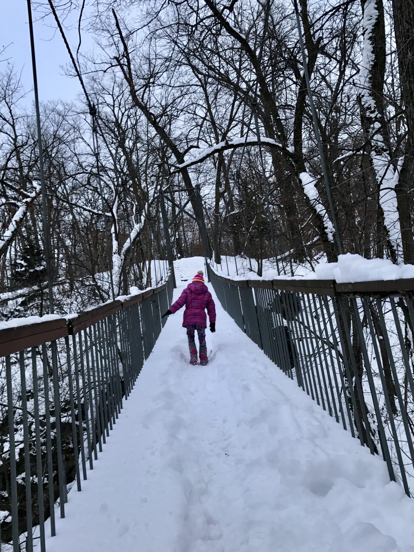Ramsey Park Trails Winter